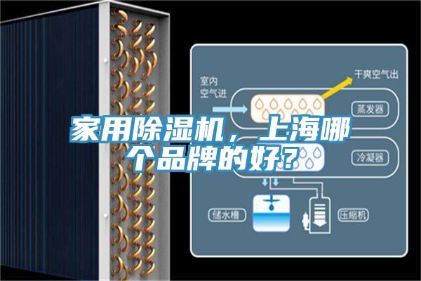 家用除濕機，上海哪個品牌的好？