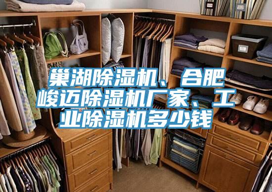 巢湖除濕機、合肥峻邁除濕機廠家、工業除濕機多少錢