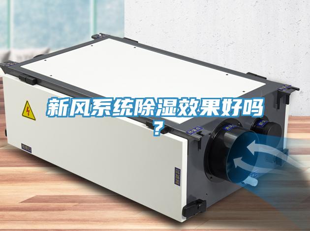 新風系統除濕效果好嗎？