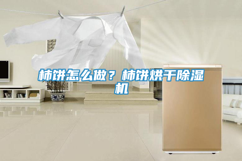 柿餅怎么做？柿餅烘干除濕機