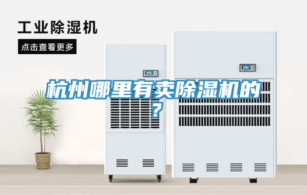 杭州哪里有賣除濕機的？