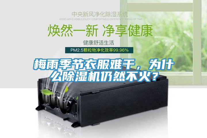 梅雨季節(jié)衣服難干，為什么除濕機仍然不火？