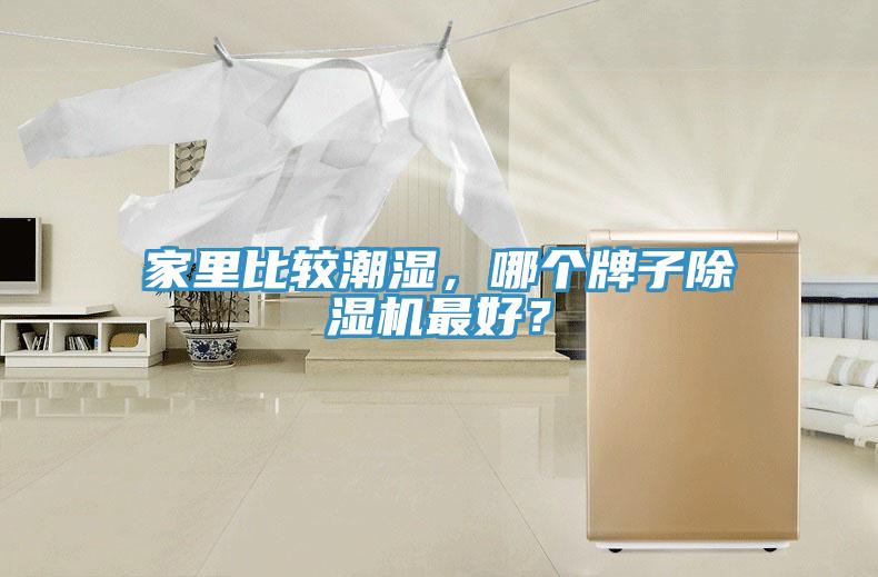 家里比較潮濕，哪個牌子除濕機(jī)最好？