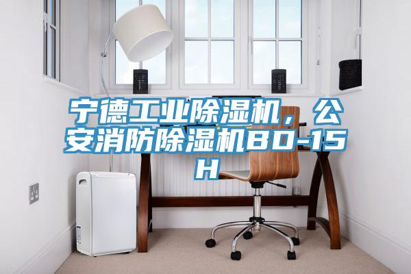 寧德工業除濕機，公安消防除濕機BD-15H