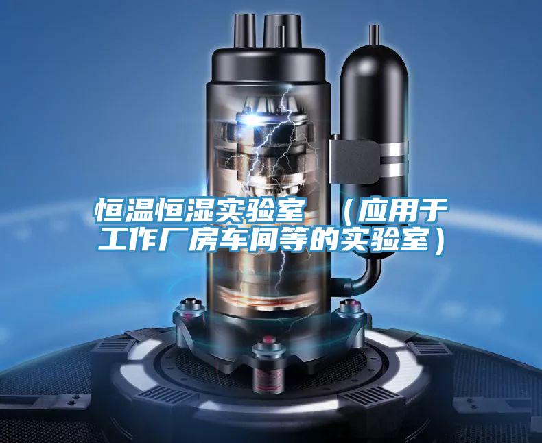 恒溫恒濕實驗室 (應(yīng)用于工作廠房車間等的實驗室)