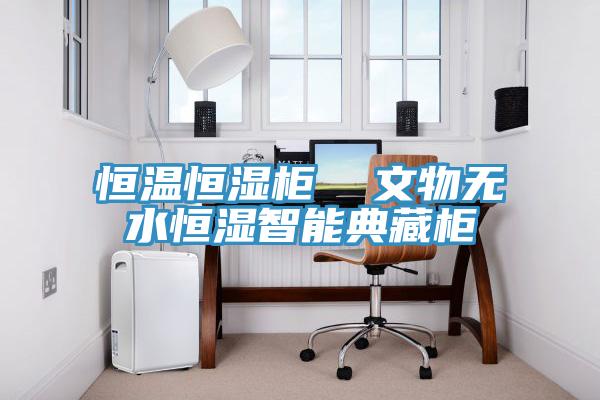 恒溫恒濕柜 文物無水恒濕智能典藏柜