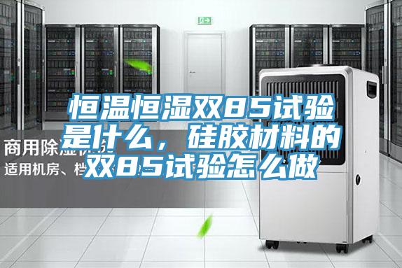 恒溫恒濕雙85試驗是什么，硅膠材料的雙85試驗怎么做