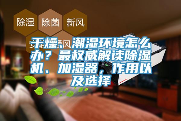 干燥、潮濕環境怎么辦？最權威解讀除濕機、加濕器，作用以及選擇