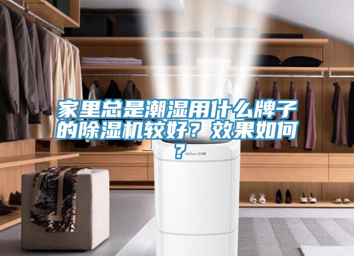 家里總是潮濕用什么牌子的除濕機(jī)較好？效果如何？