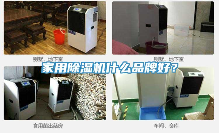 家用除濕機(jī)什么品牌好？