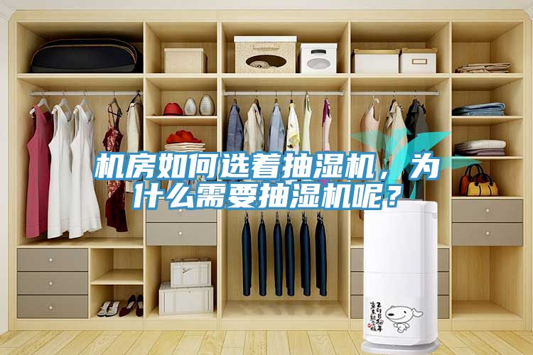 機房如何選著抽濕機，為什么需要抽濕機呢？