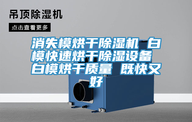 消失模烘干除濕機(jī) 白?？焖俸娓沙凉裨O(shè)備 白模烘干質(zhì)量 既快又好