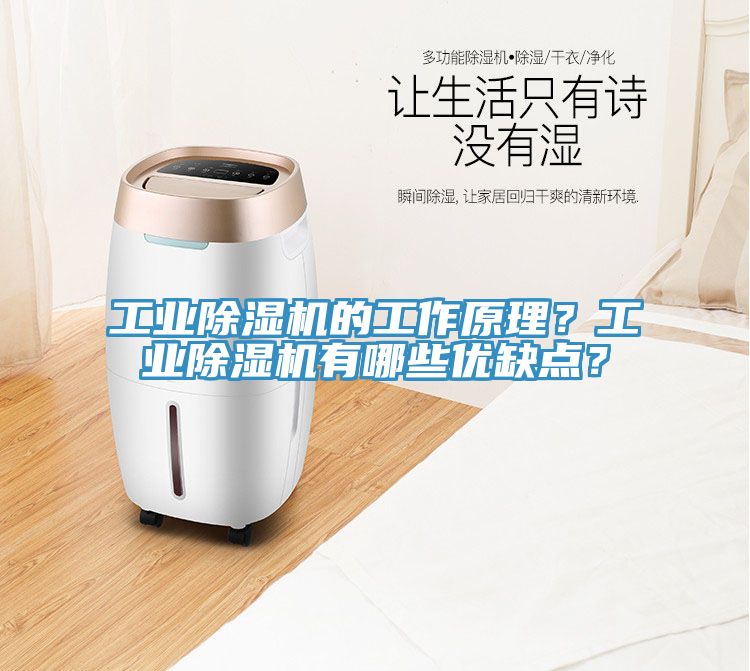工業(yè)除濕機的工作原理？工業(yè)除濕機有哪些優(yōu)缺點？