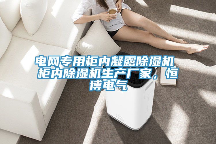 電網(wǎng)專用柜內凝露除濕機 柜內除濕機生產(chǎn)廠家，恒博電氣