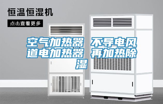 空氣加熱器 不導(dǎo)電風道電加熱器 再加熱除濕