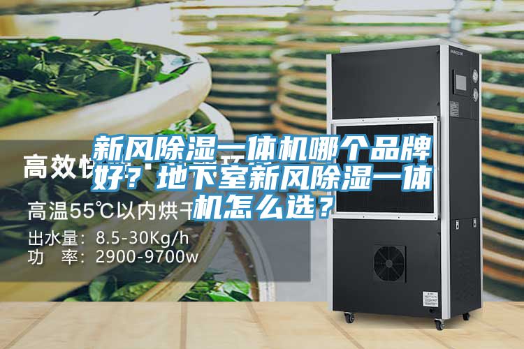 新風除濕一體機哪個品牌好？地下室新風除濕一體機怎么選？