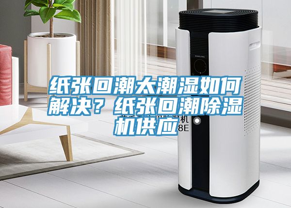 紙張回潮太潮濕如何解決？紙張回潮除濕機供應