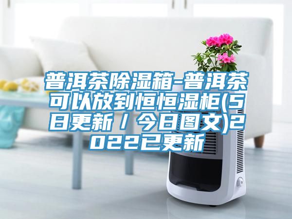 普洱茶除濕箱-普洱茶可以放到恒恒濕柜(5日更新/今日?qǐng)D文)2022已更新