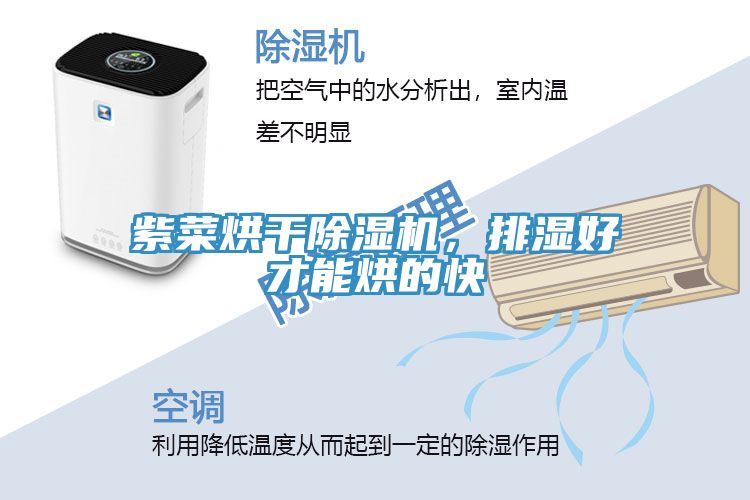 紫菜烘干除濕機，排濕好才能烘的快