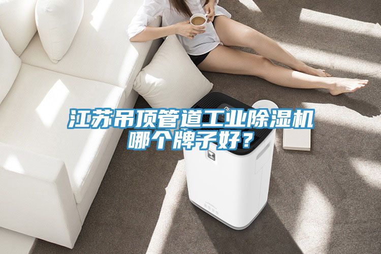 江蘇吊頂管道工業除濕機哪個牌子好？