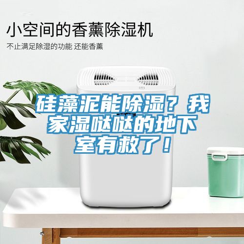 硅藻泥能除濕？我家濕噠噠的地下室有救了！