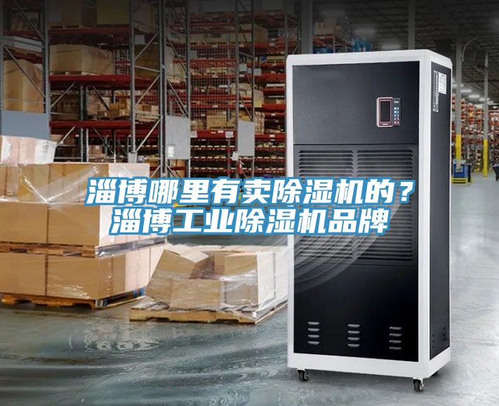 淄博哪里有賣除濕機(jī)的？淄博工業(yè)除濕機(jī)品牌