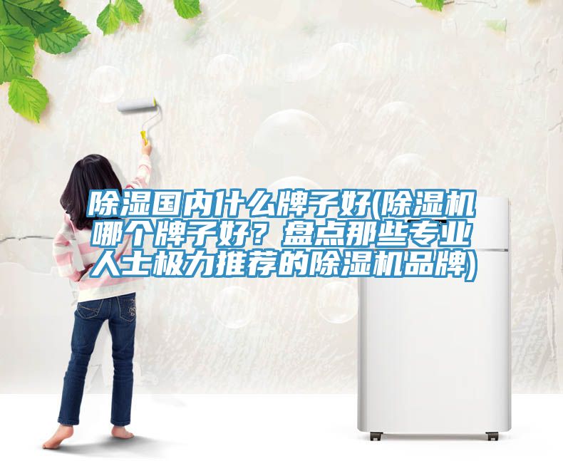 除濕國內什么牌子好(除濕機哪個牌子好？盤點那些專業人士極力推薦的除濕機品牌)