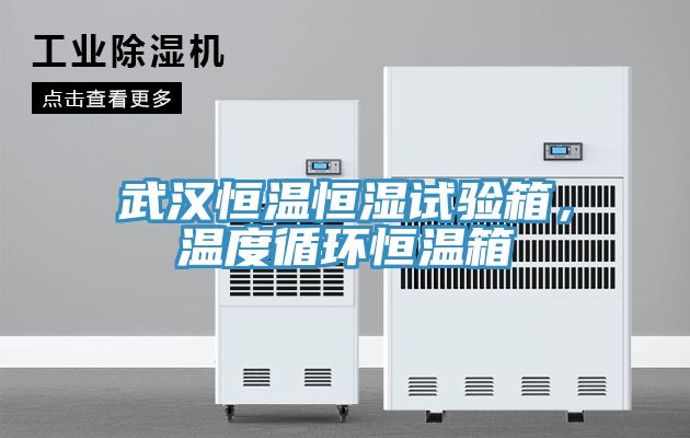 武漢恒溫恒濕試驗(yàn)箱，溫度循環(huán)恒溫箱