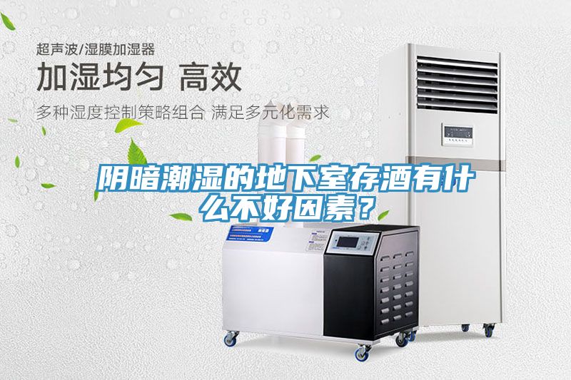 陰暗潮濕的地下室存酒有什么不好因素？