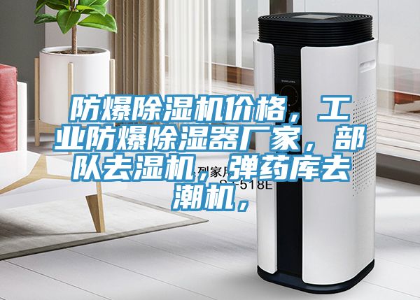 防爆除濕機(jī)價(jià)格，工業(yè)防爆除濕器廠家，部隊(duì)去濕機(jī)，彈藥庫去潮機(jī)，