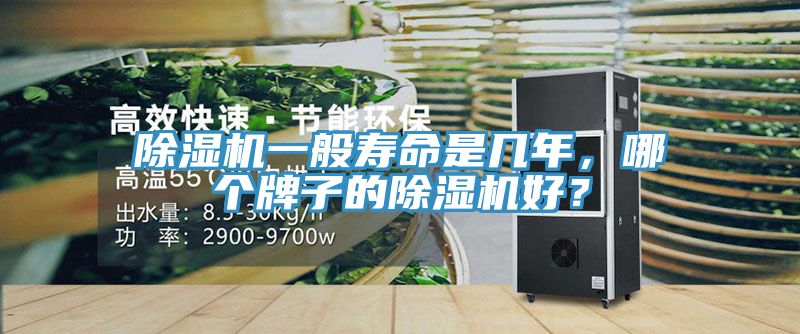 除濕機一般壽命是幾年，哪個牌子的除濕機好？