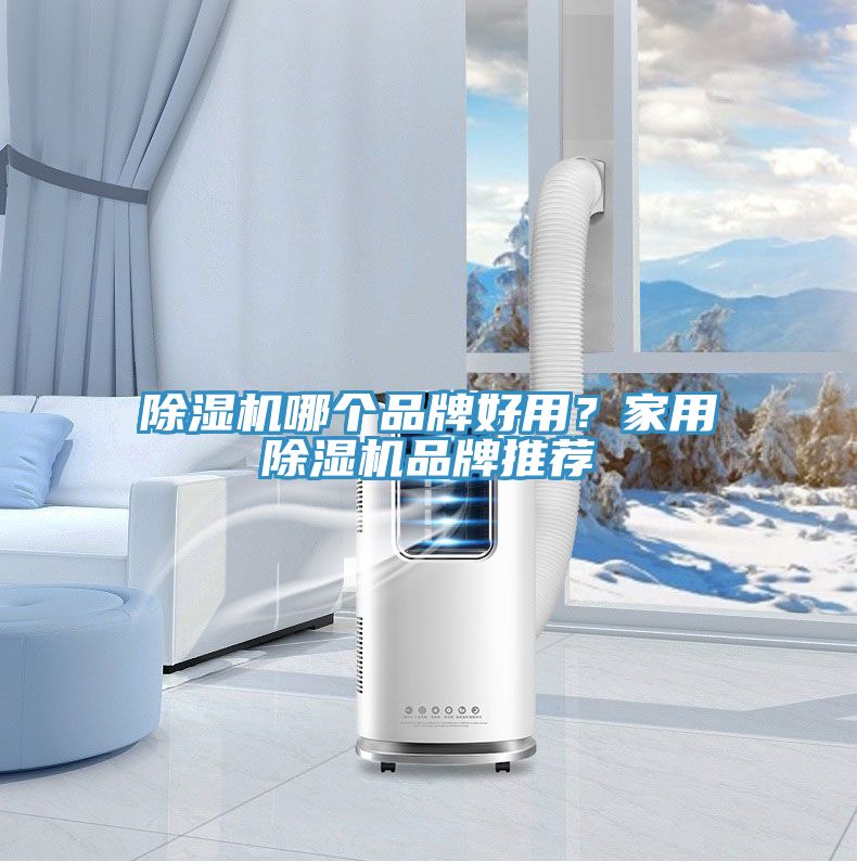除濕機(jī)哪個(gè)品牌好用？家用除濕機(jī)品牌推薦