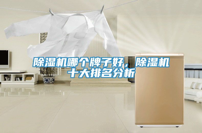 除濕機哪個牌子好，除濕機十大排名分析