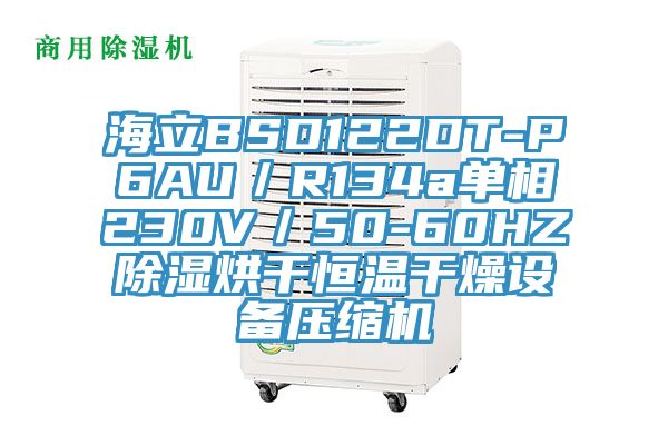 海立BSD122DT-P6AU/R134a單相230V/50-60HZ除濕烘干恒溫干燥設(shè)備壓縮機(jī)