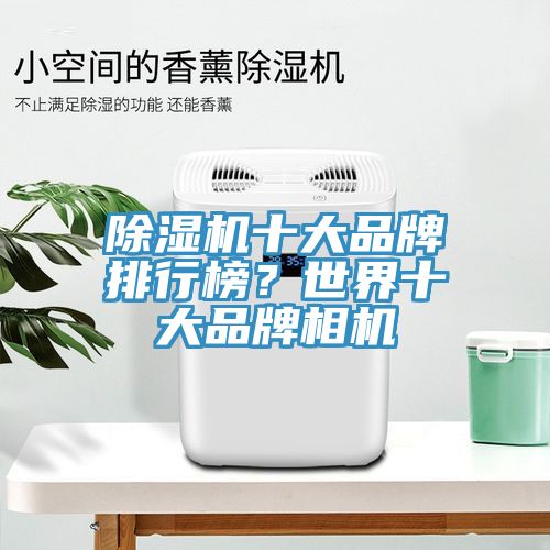 除濕機十大品牌排行榜？世界十大品牌相機