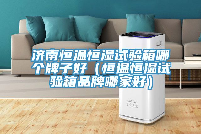 濟(jì)南恒溫恒濕試驗(yàn)箱哪個(gè)牌子好(恒溫恒濕試驗(yàn)箱品牌哪家好)