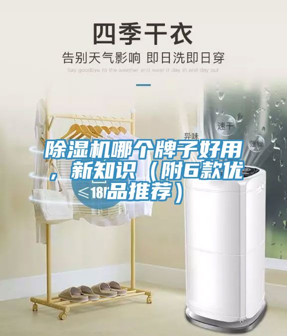 除濕機哪個牌子好用，新知識（附6款優品推薦）