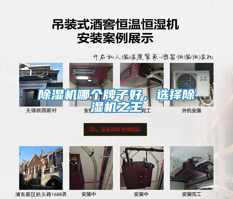 除濕機哪個牌子好，選擇除濕機之王