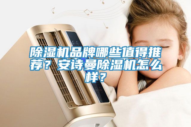 除濕機品牌哪些值得推薦？安詩曼除濕機怎么樣？