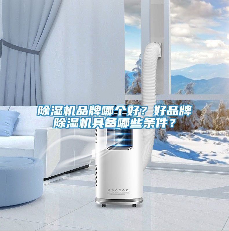 除濕機品牌哪個好？好品牌除濕機具備哪些條件？