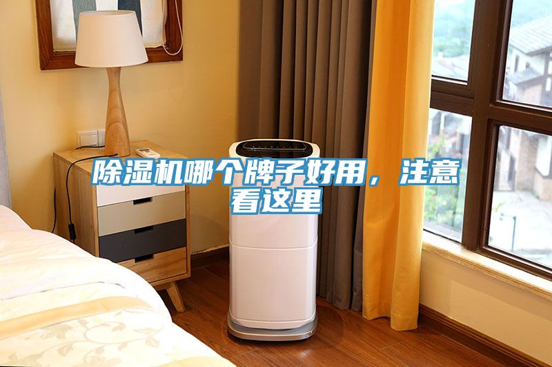 除濕機哪個牌子好用，注意看這里