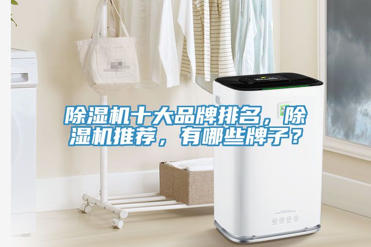 除濕機十大品牌排名，除濕機推薦，有哪些牌子？