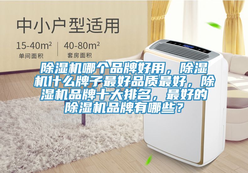 除濕機(jī)哪個(gè)品牌好用，除濕機(jī)什么牌子最好品質(zhì)最好，除濕機(jī)品牌十大排名，最好的除濕機(jī)品牌有哪些？