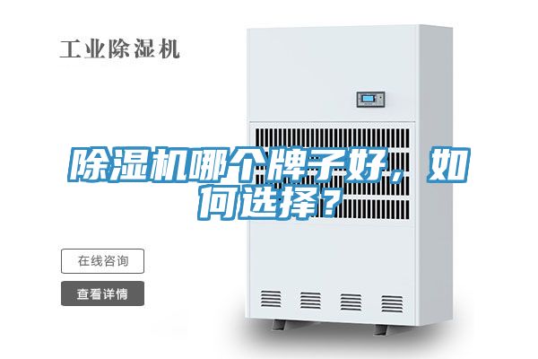 除濕機哪個牌子好，如何選擇？