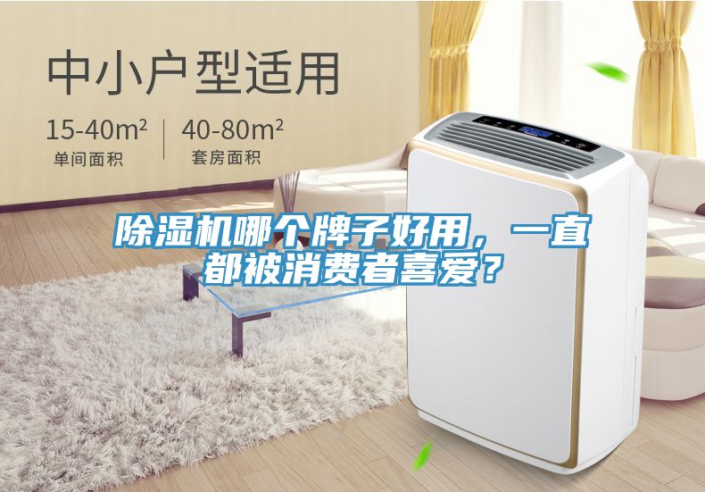 除濕機哪個牌子好用，一直都被消費者喜愛？