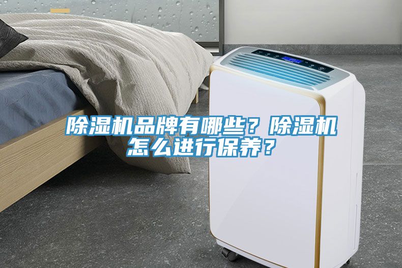 除濕機(jī)品牌有哪些？除濕機(jī)怎么進(jìn)行保養(yǎng)？