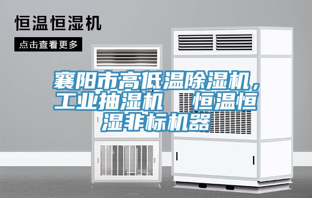 襄陽市高低溫除濕機，工業抽濕機  恒溫恒濕非標機器