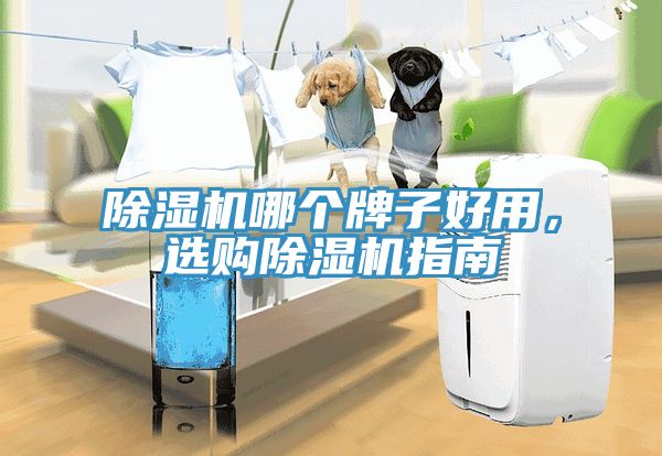 除濕機哪個牌子好用，選購除濕機指南