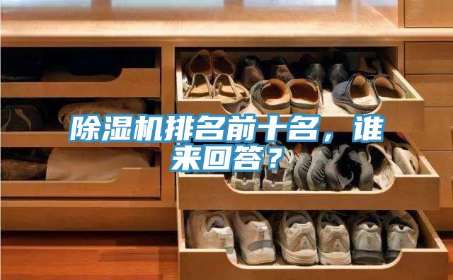 除濕機排名前十名，誰來回答？