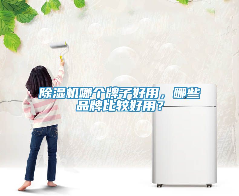 除濕機哪個牌子好用，哪些品牌比較好用？